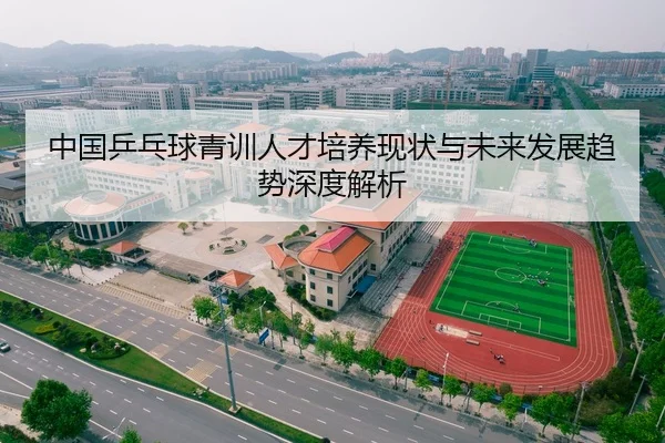 中国乒乓球青训人才培养现状与未来发展趋势深度解析